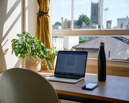 A well organized home office desk with a laptop, plant, and indirect natural light